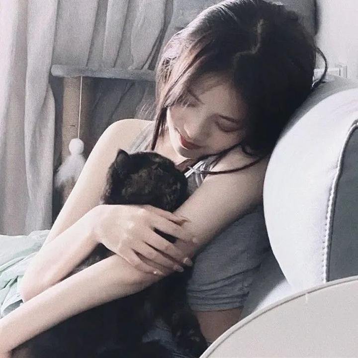 忍冬玫瑰