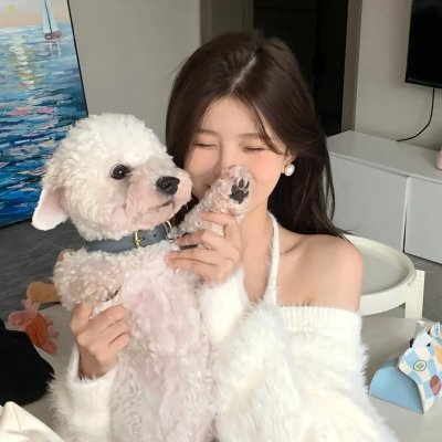 齐姆与友